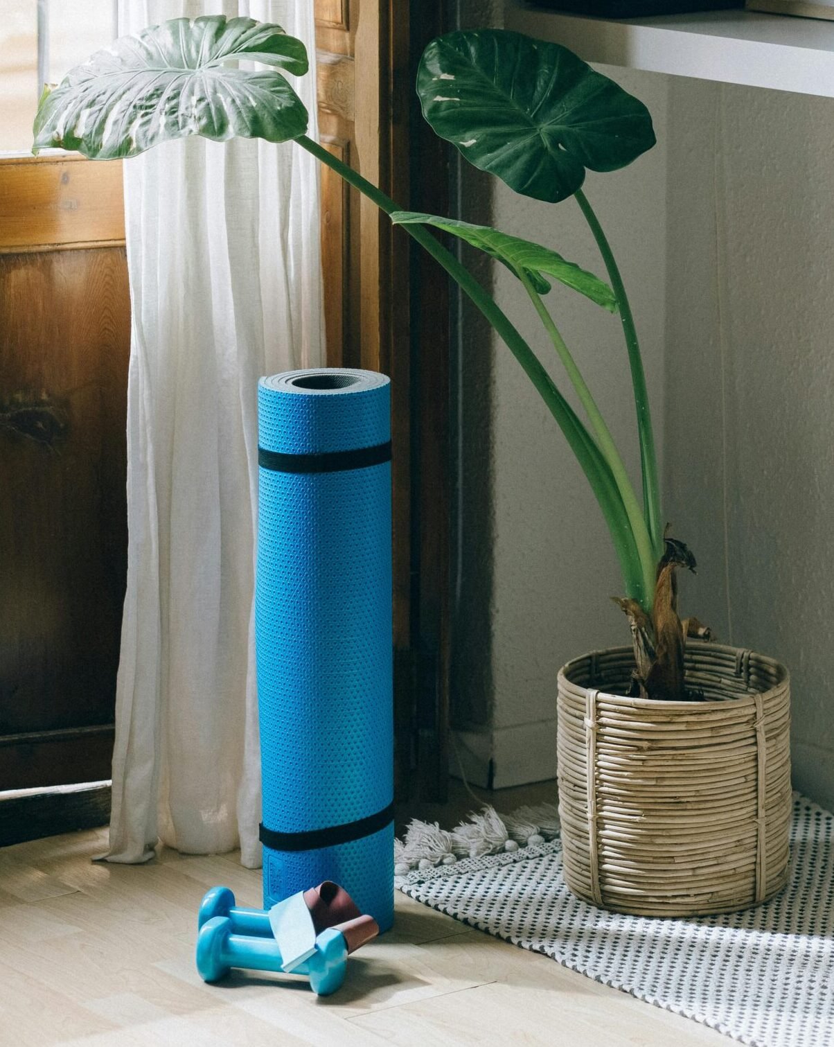 A serene corner of a home featuring a plant, yoga mat, and dumbbells for a healthy lifestyle.